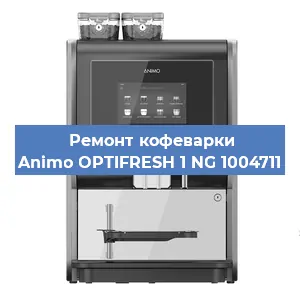 Чистка кофемашины Animo OPTIFRESH 1 NG 1004711 от кофейных масел в Волгограде